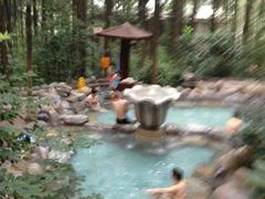 -金方森林温泉