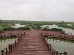 -南大港湿地风景区