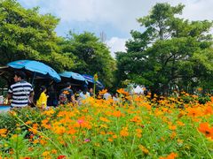 -乌石塘景区