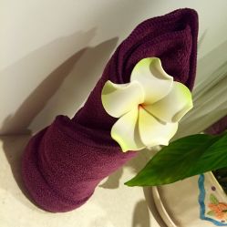 iphone_upload_pic-悦己堂美容养生SPA