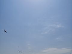 -南大港湿地风景区