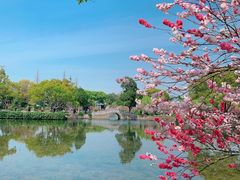 -无锡蠡湖国家湿地公园-蠡园