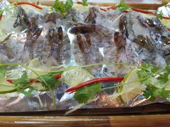 -老房子·1881海鲜餐厅