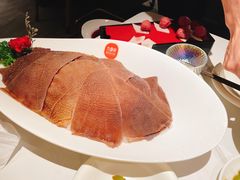 -九鼎轩脆毛肚火锅(五角场店)