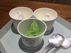 -茶是一枝花泡茶店