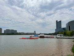 -金沙湖公园