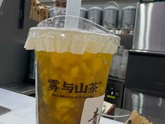 -雾与山茶(大禹城店)