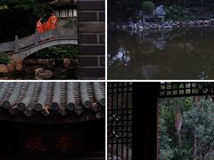 -深圳国际园林花卉博览园