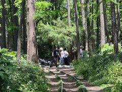 -共青国家森林公园-售票处