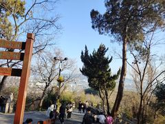 -灵岩山风景区