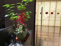 -汤泉良子·沐足·颂钵疗愈·SPA(珠江新城店)