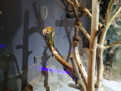 -未来动物城动物主题公园(大悦城店)