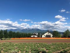 -富田农场
