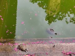 -黔灵山公园