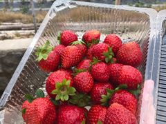 -惠州金海湾嘉华度假酒店