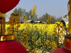 -中国天府农业博览园