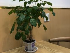 -秦镇郭家米皮(大庆路店)