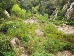 -沂蒙山旅游区云蒙景区(蒙山国家森林公园)