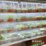 这一口，是来自大自然的馈赠～