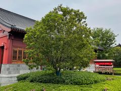 -南京市无想山景区