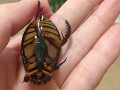 -莫华(锦绣趣园北街店)