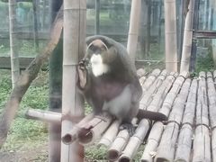 景点-北京动物园