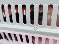 -宠福鑫康馨动物医院·骨科·眼科