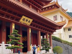 -深圳仙湖植物园