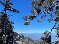 -瓦屋山景区