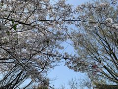 -穹窿山景区