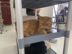 -一间摄影工作室(天安云谷店)