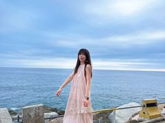 -广东惠东海龟国家级自然保护区