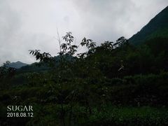 -藏龙百瀑风景区