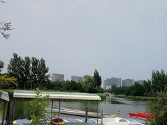 -大兴滨河森林公园