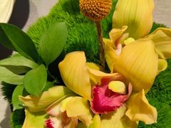 -三利音·浦之舟(滨江大道店)