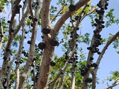 -福建鲤鱼洲酒店