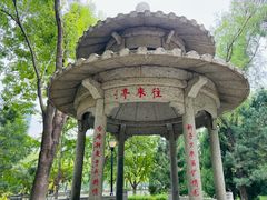 -玲珑塔公园