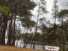 -荔湾湖公园