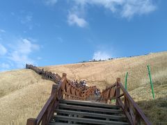 -萍乡武功山风景名胜区