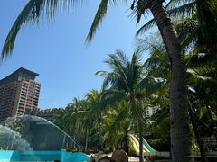 -三亚湾红树林度假世界(木棉酒店)