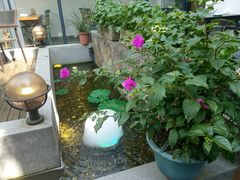 -外婆船宴餐厅·外婆喊你回家吃饭