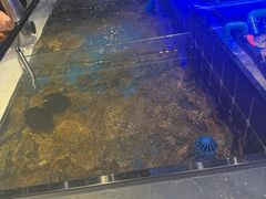 -川骄海鲜自助(河东店)