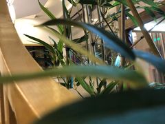 -听雨小筑茶舍(观音桥·龙湖新壹街店)