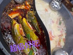 -秦巴石锅鱼(文化南路店)