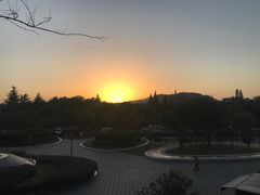 -青藤茶馆(凤起路店)