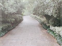 -杭州半山国家森林公园