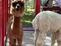 -水上乐园·欢乐世界