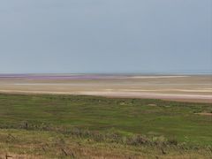 -鄱阳湖国家湿地公园