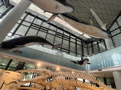 -中国（海南）南海博物馆