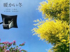 -金鸡山公园